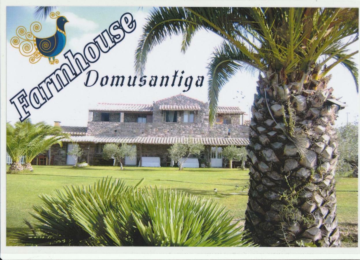 San Giovanni Suèrgiu Domus Antiga Appartamenti מראה חיצוני תמונה